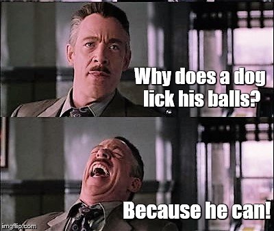 spiderman laugh 2 | Why does a dog lick his balls? Because he can! | image tagged in spiderman laugh 2 | made w/ Imgflip meme maker