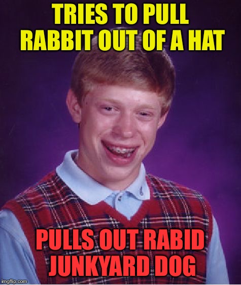 Bad Luck Brian Meme | TRIES TO PULL RABBIT OUT OF A HAT PULLS OUT RABID JUNKYARD DOG | image tagged in memes,bad luck brian | made w/ Imgflip meme maker