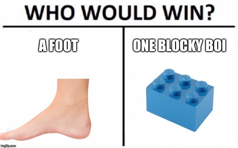 Who Would Win? Meme | A FOOT; ONE BLOCKY BOI | image tagged in memes,who would win | made w/ Imgflip meme maker