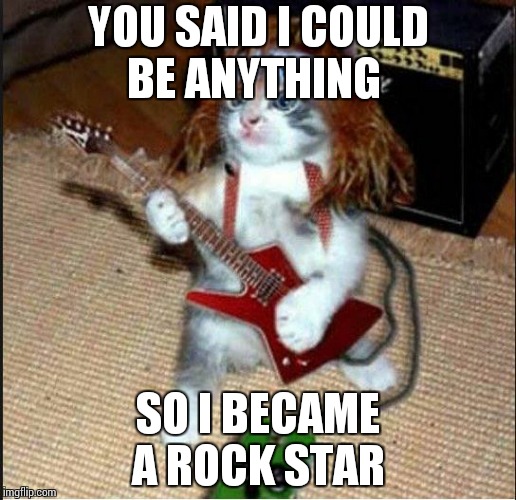 Rockstar Cat | YOU SAID I COULD BE ANYTHING; SO I BECAME  A ROCK STAR | image tagged in rockstar cat | made w/ Imgflip meme maker