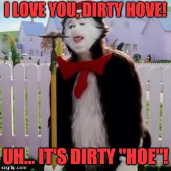 Cat in the Hat | I LOVE YOU, DIRTY HOVE! UH... IT'S DIRTY "HOE"! | image tagged in cat in the hat | made w/ Imgflip meme maker