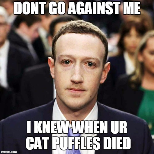 Zucc | DONT GO AGAINST ME; I KNEW WHEN UR CAT PUFFLES DIED | image tagged in zucc | made w/ Imgflip meme maker