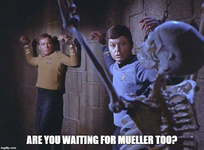 Bones waiting for Mueller | ARE YOU WAITING FOR MUELLER TOO? | image tagged in bones mccoy,mueller,star trek | made w/ Imgflip meme maker