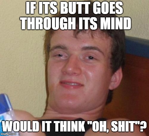 10 Guy Meme | IF ITS BUTT GOES THROUGH ITS MIND WOULD IT THINK "OH, SHIT"? | image tagged in memes,10 guy | made w/ Imgflip meme maker