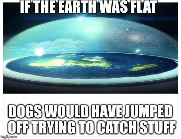 Flat Earth Dome | IF THE EARTH WAS FLAT; DOGS WOULD HAVE JUMPED OFF TRYING TO CATCH STUFF | image tagged in flat earth dome | made w/ Imgflip meme maker