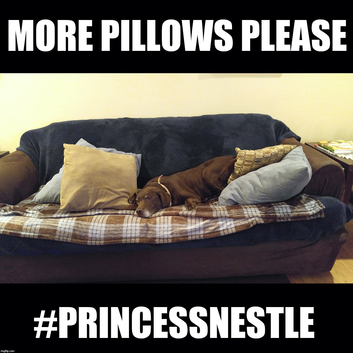 MORE PILLOWS PLEASE; #PRINCESSNESTLE | made w/ Imgflip meme maker