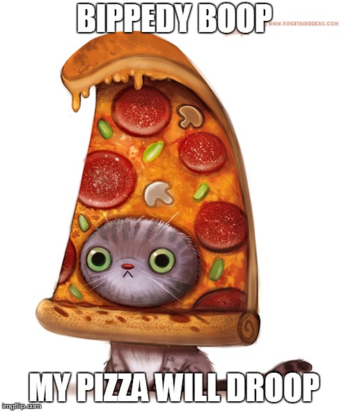 hoiitsame | BIPPEDY BOOP; MY PIZZA WILL DROOP | image tagged in pizza cat | made w/ Imgflip meme maker