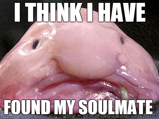 Just one of those weird days | I THINK I HAVE; FOUND MY SOULMATE | image tagged in just one of those weird days | made w/ Imgflip meme maker