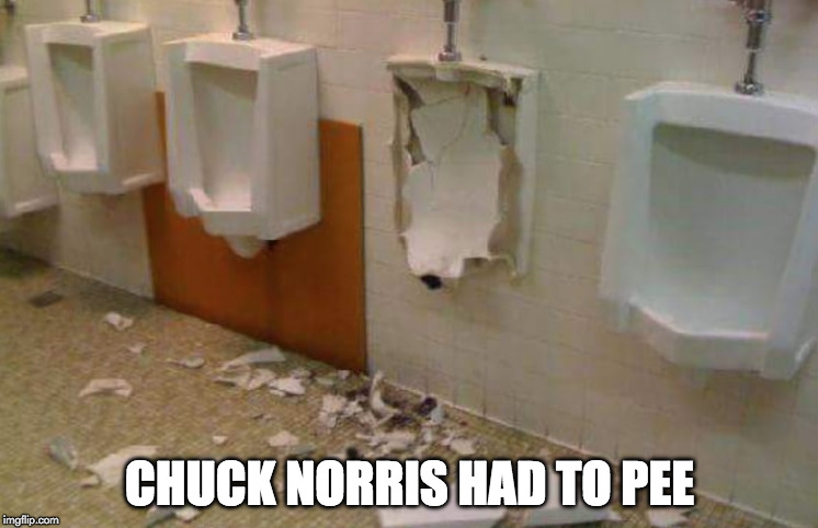 Chuck Norris requires your upvote. | CHUCK NORRIS HAD TO PEE | image tagged in chuck norris,pee | made w/ Imgflip meme maker
