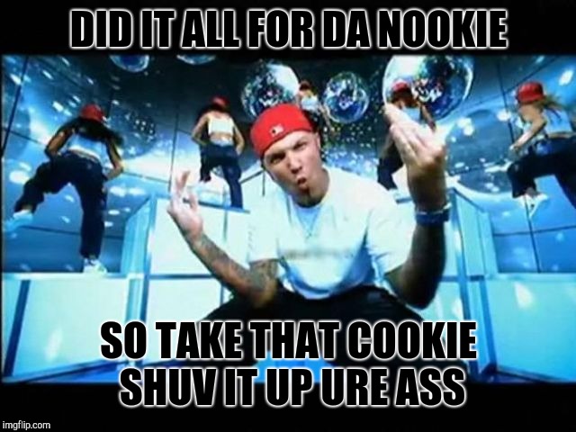 limp bizkit | DID IT ALL FOR DA NOOKIE; SO TAKE THAT COOKIE SHUV IT UP URE ASS | image tagged in limp bizkit | made w/ Imgflip meme maker