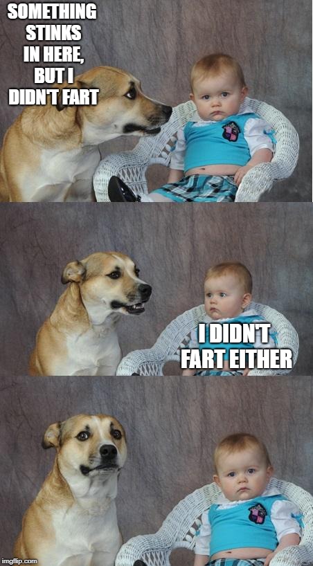 Bad joke dog | SOMETHING STINKS IN HERE, BUT I DIDN'T FART; I DIDN'T FART EITHER | image tagged in bad joke dog | made w/ Imgflip meme maker