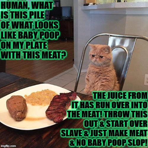 HUMAN, WHAT IS THIS PILE OF WHAT LOOKS LIKE BABY POOP ON MY PLATE WITH THIS MEAT? THE JUICE FROM IT HAS RUN OVER INTO THE MEAT! THROW THIS OUT & START OVER SLAVE & JUST MAKE MEAT & NO BABY POOP SLOP! | image tagged in ungrateful turd cat | made w/ Imgflip meme maker