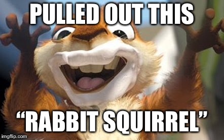 PULLED OUT THIS “RABBIT SQUIRREL” | made w/ Imgflip meme maker