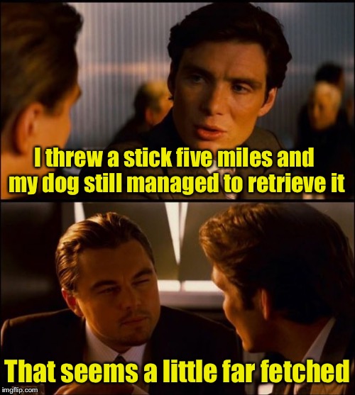 Here boy!  Fetch thus pun for Dog Week | I threw a stick five miles and my dog still managed to retrieve it; That seems a little far fetched | image tagged in inception 2,memes,dog week,fetch,bad pun | made w/ Imgflip meme maker