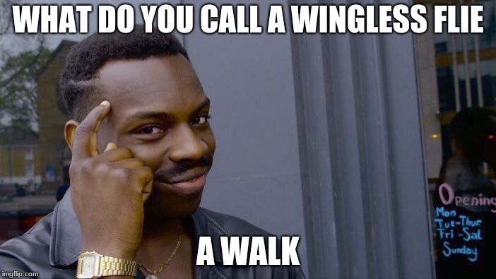 Roll Safe Think About It | WHAT DO YOU CALL A WINGLESS FLIE; A WALK | image tagged in memes,roll safe think about it | made w/ Imgflip meme maker