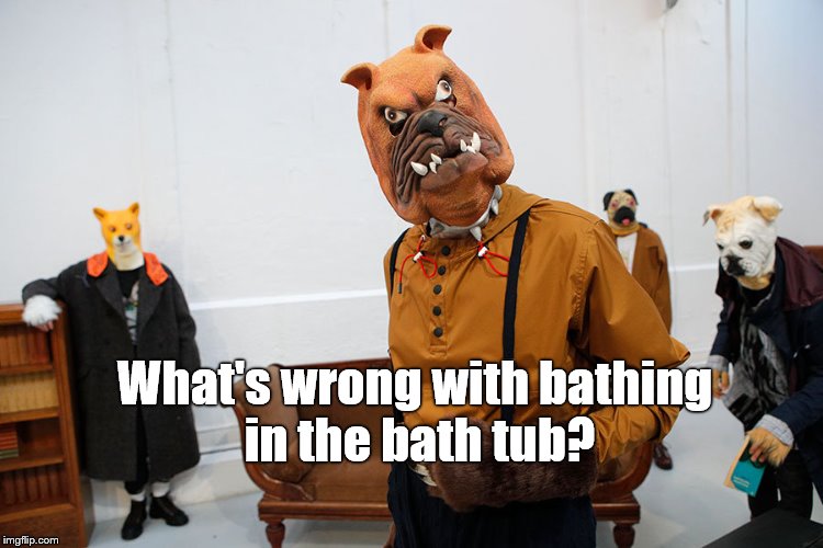 fashion week | What's wrong with bathing in the bath tub? | image tagged in fashion week | made w/ Imgflip meme maker