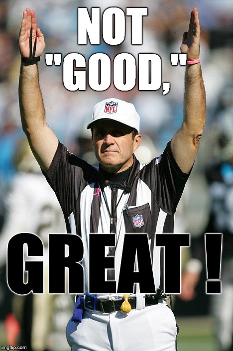 TOUCHDOWN! | NOT "GOOD," GREAT ! | image tagged in touchdown | made w/ Imgflip meme maker
