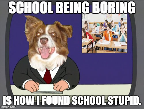 Peter Griffin News Meme | SCHOOL BEING BORING; IS HOW I FOUND SCHOOL STUPID. | image tagged in chili the border collie,dogs,i hate school,school,school is boring,school is stupid | made w/ Imgflip meme maker