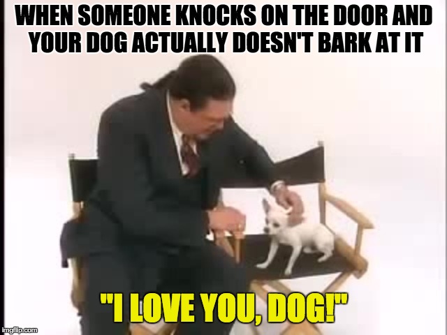 Dog week May 1st to May 8th a Landon_the_memer and NikkoBellic event | WHEN SOMEONE KNOCKS ON THE DOOR AND YOUR DOG ACTUALLY DOESN'T BARK AT IT; "I LOVE YOU, DOG!" | image tagged in memes,funny,dogs,dog week | made w/ Imgflip meme maker