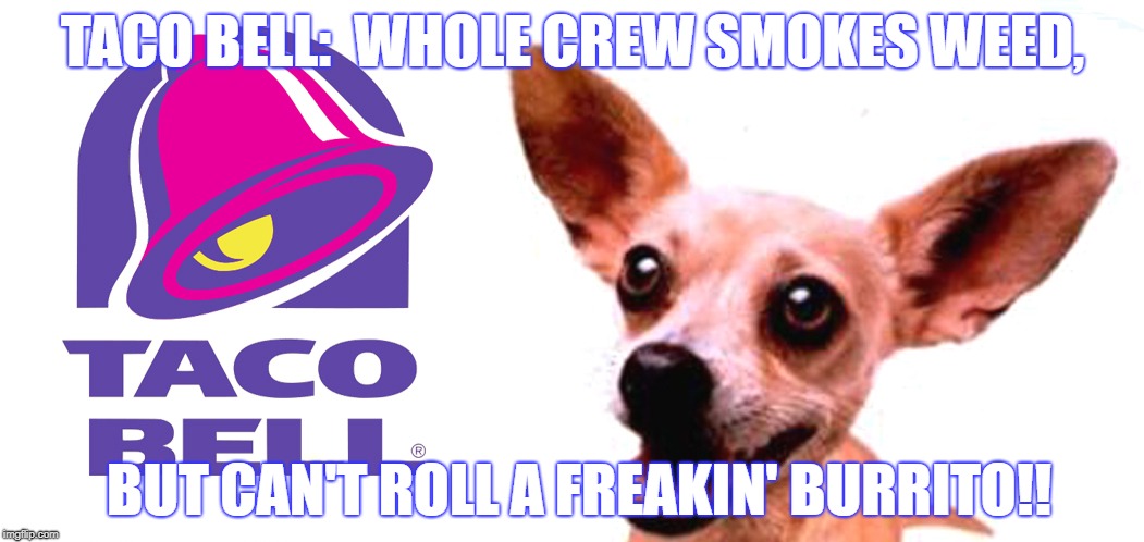 taco bell weed | TACO BELL:  WHOLE CREW SMOKES WEED, BUT CAN'T ROLL A FREAKIN' BURRITO!! | image tagged in weed,funny,funny pun,bad weed joke,taco bell joke | made w/ Imgflip meme maker