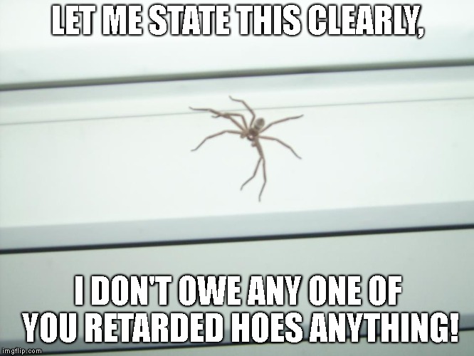 notabrownrecluse | LET ME STATE THIS CLEARLY, I DON'T OWE ANY ONE OF YOU RETARDED HOES ANYTHING! | image tagged in notabrownrecluse | made w/ Imgflip meme maker
