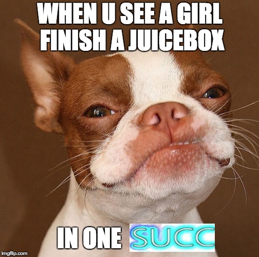 Dog week May 1st to May 8th a Landon_the_memer and NikkoBellic event | WHEN U SEE A GIRL FINISH A JUICEBOX; IN ONE | image tagged in memes,funny,dogs,dog week,succ,dank memes | made w/ Imgflip meme maker