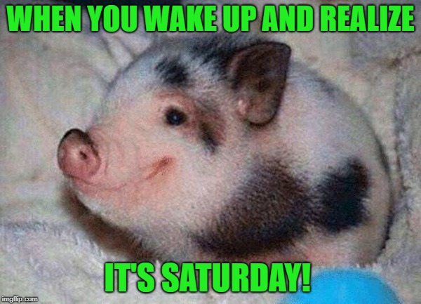 when you wake up and realize | WHEN YOU WAKE UP AND REALIZE; IT'S SATURDAY! | image tagged in saturday | made w/ Imgflip meme maker