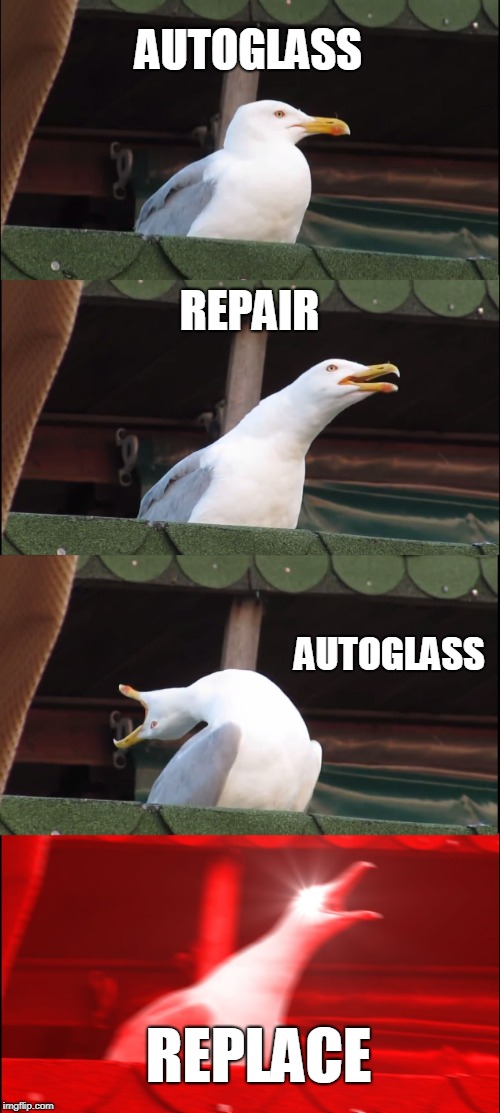 Inhaling Seagull | AUTOGLASS; REPAIR; AUTOGLASS; REPLACE | image tagged in memes,inhaling seagull | made w/ Imgflip meme maker