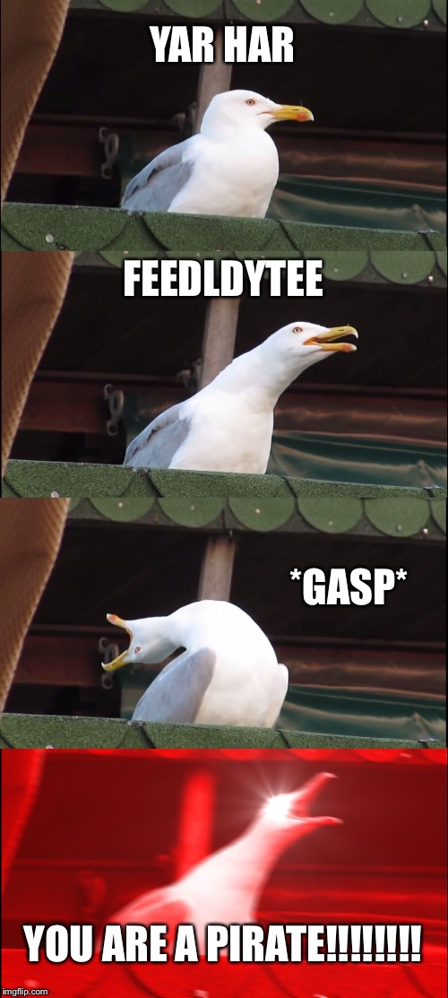 Inhaling Seagull Meme | YAR HAR; FEEDLDYTEE; *GASP*; YOU ARE A PIRATE!!!!!!!! | image tagged in memes,inhaling seagull | made w/ Imgflip meme maker