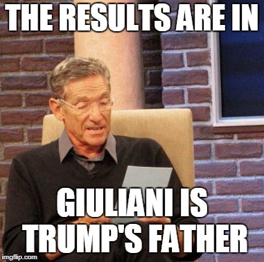 Maury Lie Detector Meme | THE RESULTS ARE IN; GIULIANI IS TRUMP'S FATHER | image tagged in memes,maury lie detector | made w/ Imgflip meme maker