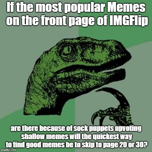 Philosoraptor | If the most popular Memes on the front page of IMGFlip; are there because of sock puppets upvoting shallow memes will the quickest way to find good memes be to skip to page 20 or 30? | image tagged in memes,philosoraptor | made w/ Imgflip meme maker