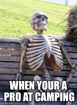 Waiting Skeleton Meme | WHEN YOUR A PRO AT CAMPING | image tagged in memes,waiting skeleton | made w/ Imgflip meme maker
