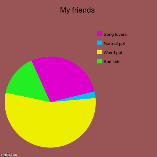 My friends | Bad kids , Weird ppl, Normal ppl, Song lovers | image tagged in funny,pie charts | made w/ Imgflip chart maker