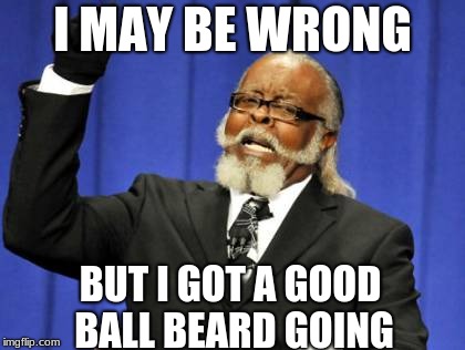 Too Damn High Meme | I MAY BE WRONG; BUT I GOT A GOOD BALL BEARD GOING | image tagged in memes,too damn high | made w/ Imgflip meme maker