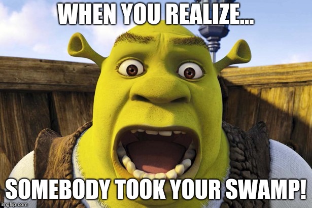 When you realize somebody took your swamp. | WHEN YOU REALIZE... SOMEBODY TOOK YOUR SWAMP! | image tagged in crazy,weird,scared | made w/ Imgflip meme maker