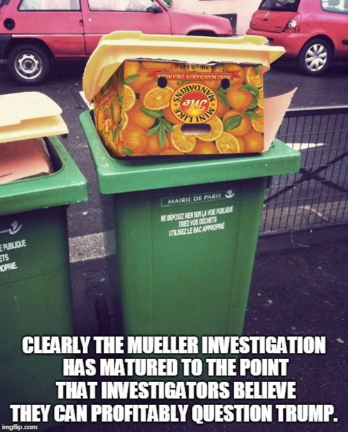 CLEARLY THE MUELLER INVESTIGATION HAS MATURED TO THE POINT THAT INVESTIGATORS BELIEVE THEY CAN PROFITABLY QUESTION TRUMP. | made w/ Imgflip meme maker