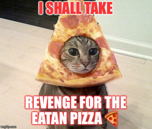 pizza cat | I SHALL TAKE; REVENGE FOR THE EATAN PIZZA 🍕 | image tagged in pizza cat | made w/ Imgflip meme maker