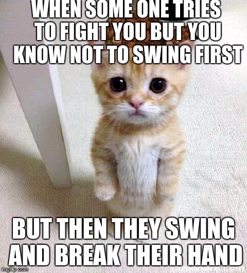 Cute Cat | WHEN SOME ONE TRIES TO FIGHT YOU BUT YOU KNOW NOT TO SWING FIRST; BUT THEN THEY SWING AND BREAK THEIR HAND | image tagged in memes,cute cat,scumbag | made w/ Imgflip meme maker