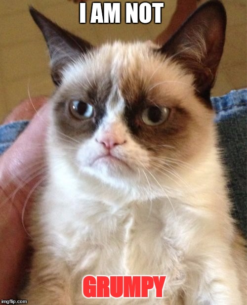 Grumpy Cat Meme | I AM NOT; GRUMPY | image tagged in memes,grumpy cat | made w/ Imgflip meme maker