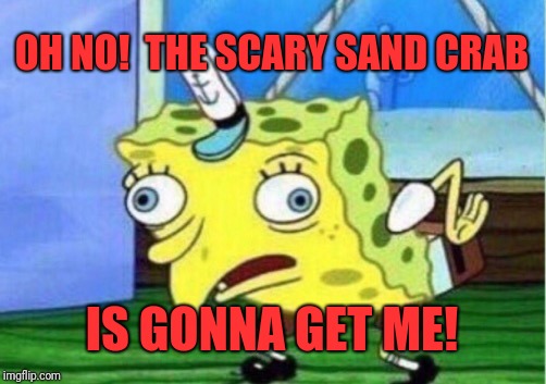 Mocking Spongebob Meme | OH NO!  THE SCARY SAND CRAB IS GONNA GET ME! | image tagged in memes,mocking spongebob | made w/ Imgflip meme maker