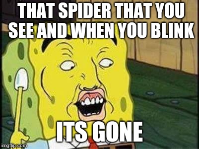 sponge bob bruh | THAT SPIDER THAT YOU SEE AND WHEN YOU BLINK; ITS GONE | image tagged in sponge bob bruh | made w/ Imgflip meme maker