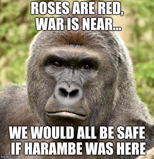 Har | ROSES ARE RED, WAR IS NEAR... WE WOULD ALL BE SAFE IF HARAMBE WAS HERE | image tagged in har | made w/ Imgflip meme maker