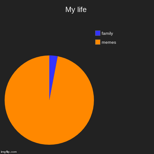My life | memes, family | image tagged in funny,pie charts | made w/ Imgflip chart maker