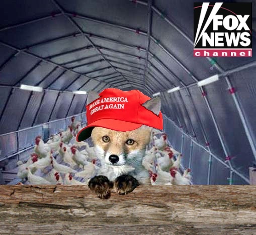 FOX NEWS GUARDS HENHOUSE Blank Meme Template