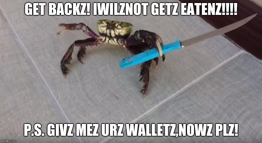 Mr.Fozzil | GET BACKZ! IWILZNOT GETZ EATENZ!!!! P.S. GIVZ MEZ URZ WALLETZ,NOWZ PLZ! | image tagged in memes | made w/ Imgflip meme maker