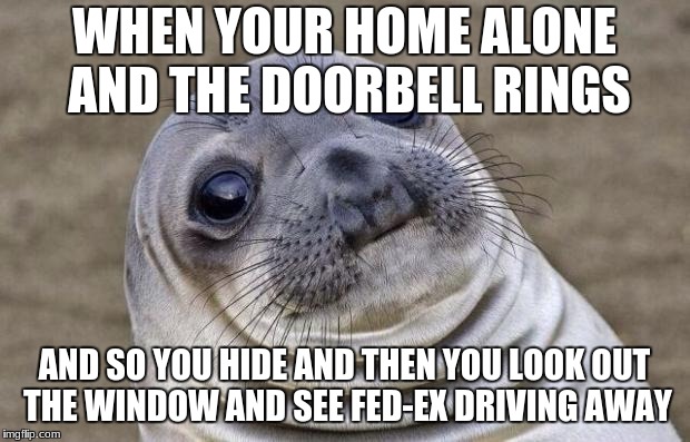 Awkward Moment Sealion | WHEN YOUR HOME ALONE AND THE DOORBELL RINGS; AND SO YOU HIDE AND THEN YOU LOOK OUT THE WINDOW AND SEE FED-EX DRIVING AWAY | image tagged in memes,awkward moment sealion | made w/ Imgflip meme maker
