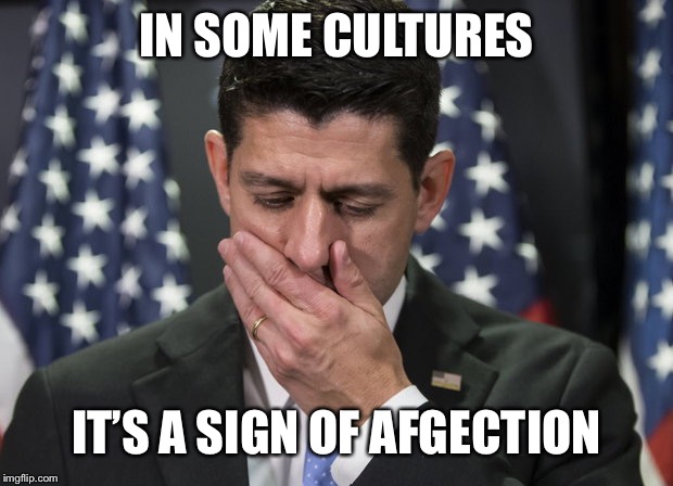 Sick Paul Ryan | IN SOME CULTURES IT’S A SIGN OF AFFECTION | image tagged in sick paul ryan | made w/ Imgflip meme maker