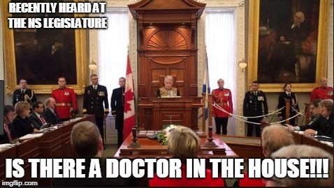 Doctor shortage | RECENTLY HEARD AT THE NS LEGISLATURE; IS THERE A DOCTOR IN THE HOUSE!!! | image tagged in ns legislature ns government | made w/ Imgflip meme maker