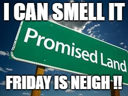 funny | I CAN SMELL IT; FRIDAY IS NEIGH !! | image tagged in memes | made w/ Imgflip meme maker