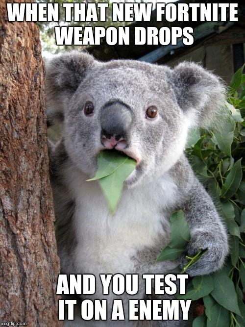 Surprised Koala Meme | WHEN THAT NEW FORTNITE WEAPON DROPS; AND YOU TEST IT ON A ENEMY | image tagged in memes,surprised koala | made w/ Imgflip meme maker